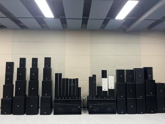 智能集成先锋声动无限可能！爱游戏入口布谷音响]：音频(图2)