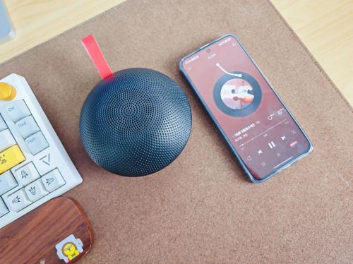 质好？2025十款口碑爆表的蓝牙音箱推荐爱游戏ayx网站蓝牙音箱什么品牌质量好音(图3)